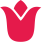 Flower Bulb Icon