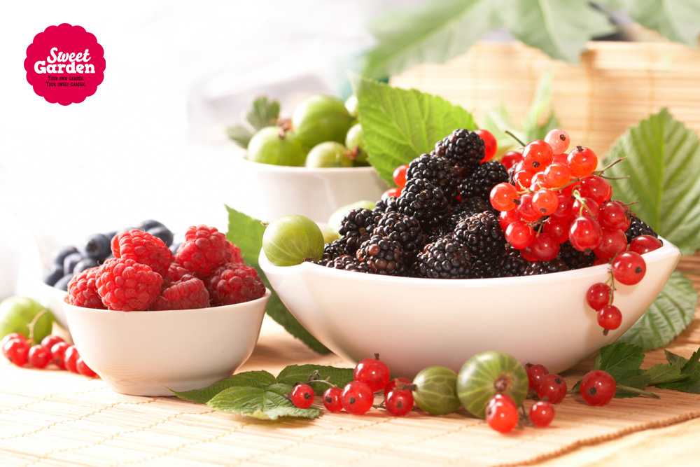 fructe de padure